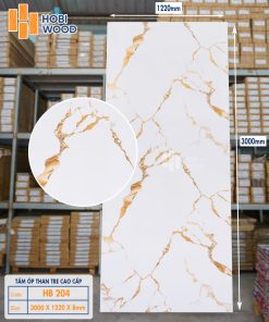 Than Tre kết hợp PVC TT20