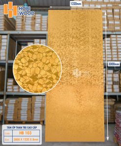 Than Tre kết hợp PVC TT16