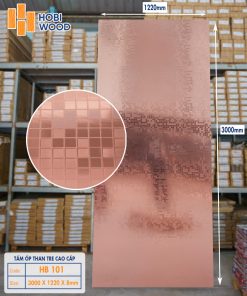 Than Tre kết hợp PVC TT12