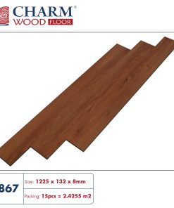 Sàn Gỗ CN Đức 25
